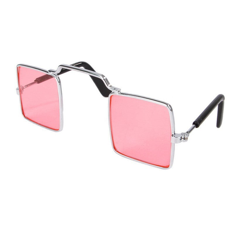 Personalized glasses puppy decorations